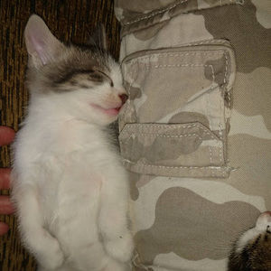 Meet your Posher, Eric